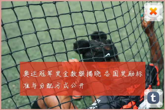 奥运冠军奖金数额揭晓 各国奖励标准与分配方式公开