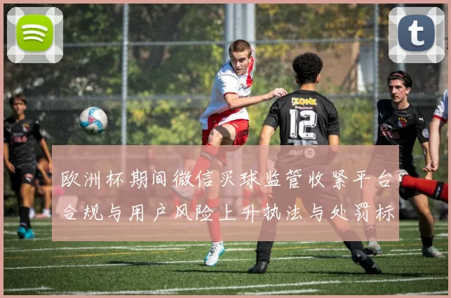 欧洲杯期间微信买球监管收紧平台合规与用户风险上升执法与处罚标准加码