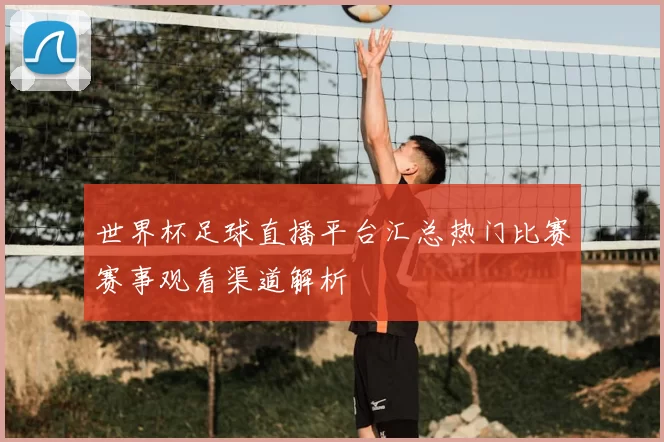 世界杯足球直播平台汇总热门比赛赛事观看渠道解析
