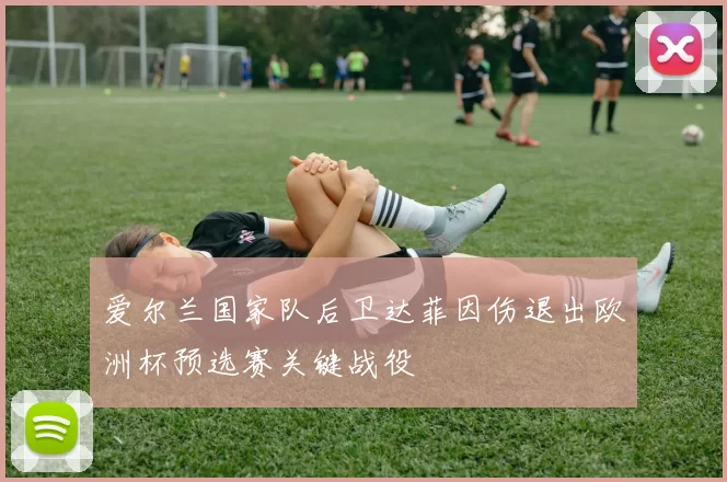 爱尔兰国家队后卫达菲因伤退出欧洲杯预选赛关键战役