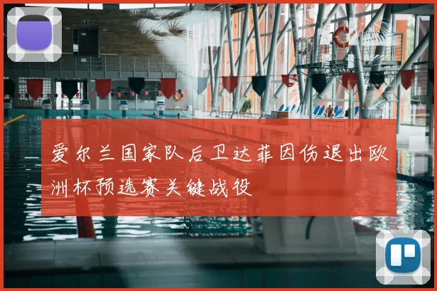 爱尔兰国家队后卫达菲因伤退出欧洲杯预选赛关键战役