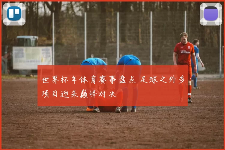 世界杯年体育赛事盘点 足球之外多项目迎来巅峰对决