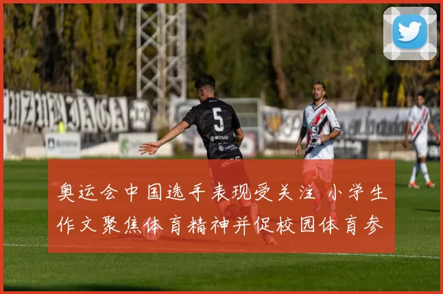 奥运会中国选手表现受关注 小学生作文聚焦体育精神并促校园体育参与